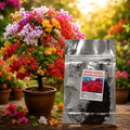 Mix Colour Bougainvillea Flower Seeds For Home Garden