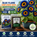 Blue Flame Sunflower Seeds + Organic Pot Mix Combo  | 30+ Premium Seeds | Easy to Grow